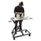 Vestil Mechanical Cart, Stainless Steel, 660 lb Load Capacity, 23.625"; 23.5" W, 39-1/4" H CART-660-M-PSS - alternate 3